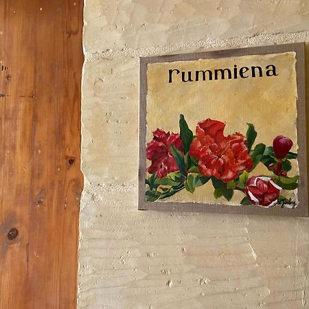 Botanica B&B Xagħra Eksteriør billede