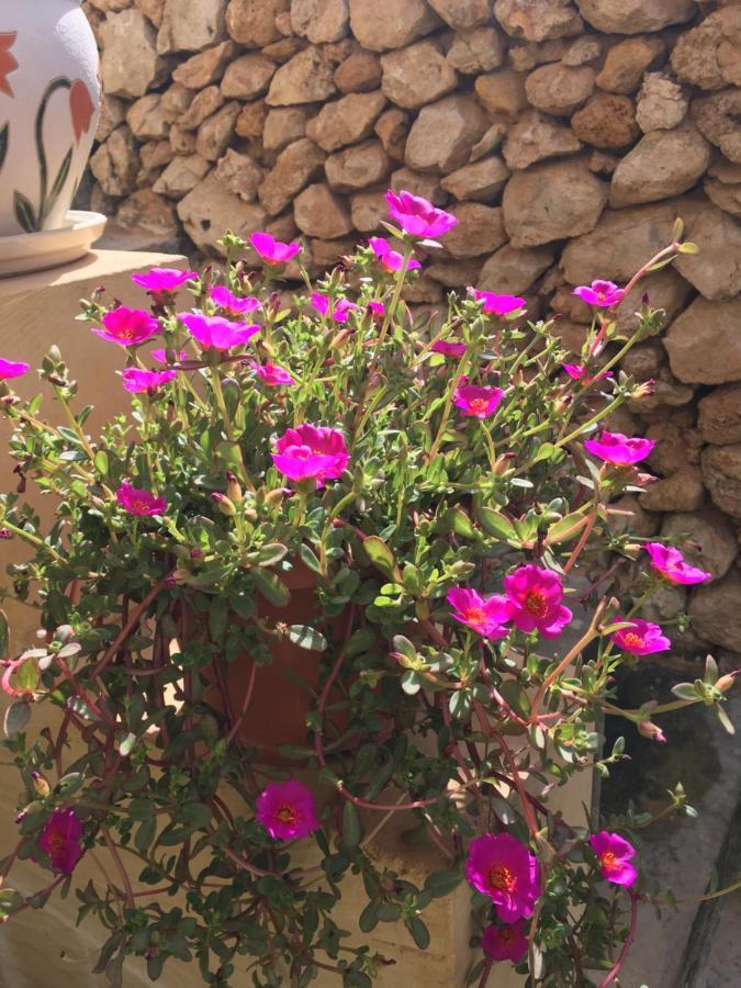 Botanica B&B Xagħra Eksteriør billede