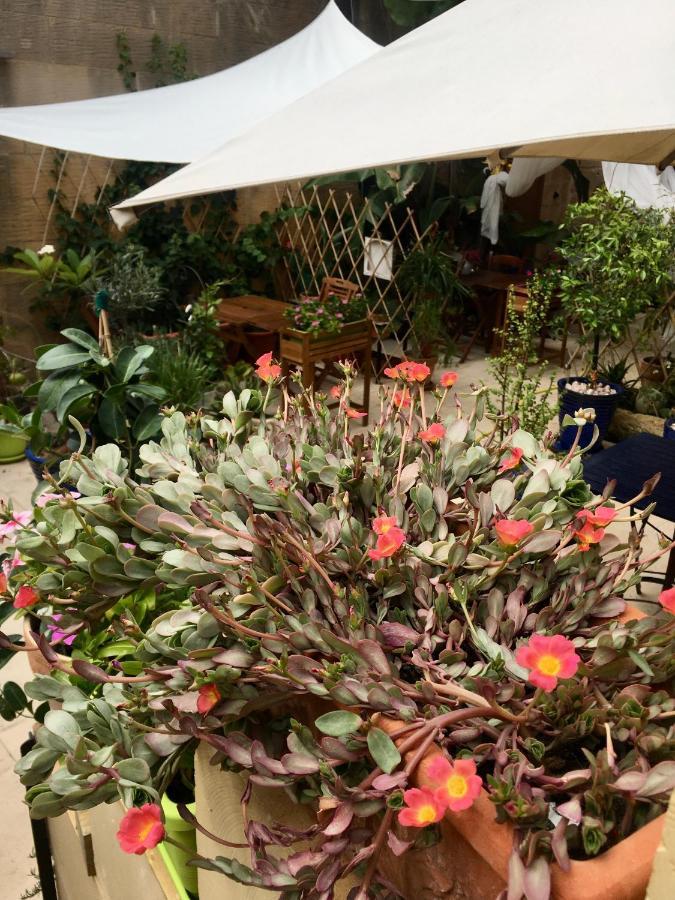 Botanica B&B Xagħra Eksteriør billede