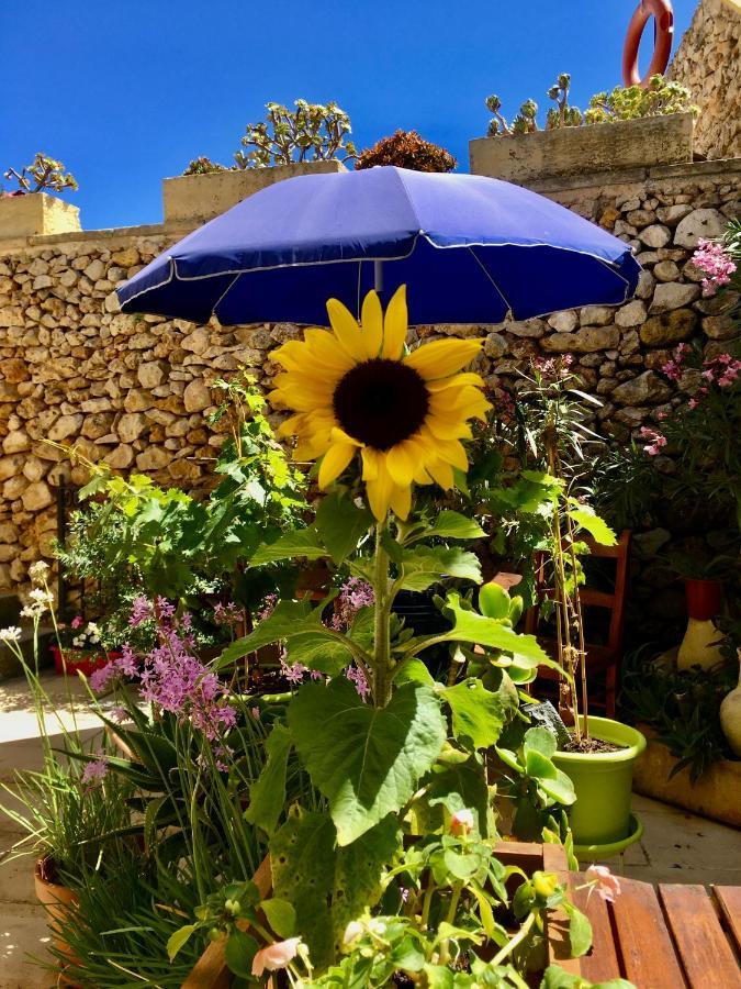 Botanica B&B Xagħra Eksteriør billede