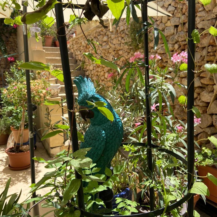 Botanica B&B Xagħra Eksteriør billede